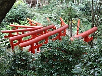 日記の画像