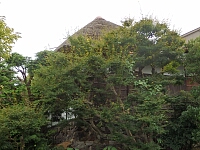 日記の画像