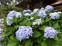 日記の画像