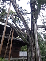 日記の画像