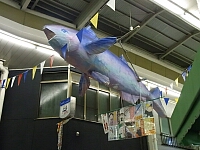 日記の画像