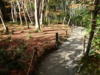 日記の画像