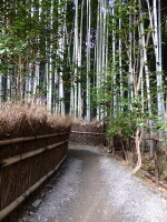 日記の画像