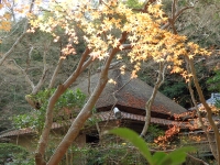 日記の画像