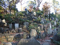 日記の画像