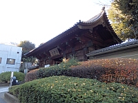 日記の画像