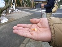 日記の画像