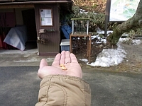日記の画像