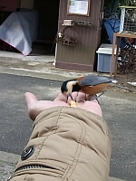 日記の画像