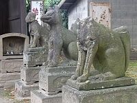 日記の画像