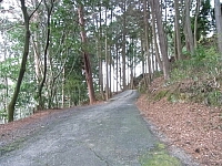 日記の画像