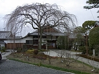 日記の画像