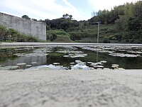 日記の画像