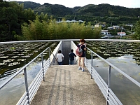 日記の画像