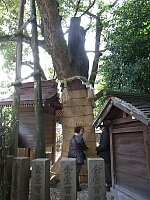 日記の画像