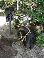 日記の画像