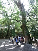 日記の画像