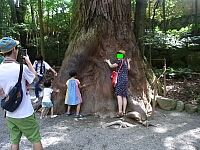 日記の画像