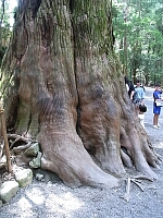 日記の画像