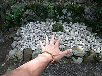 日記の画像
