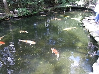 日記の画像