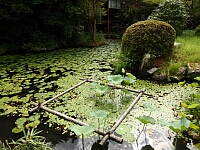 日記の画像