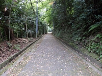 日記の画像