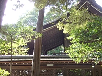 日記の画像