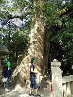 日記の画像