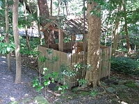 日記の画像
