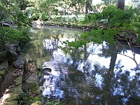 日記の画像