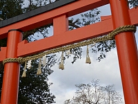 日記の画像