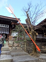 日記の画像