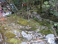 日記の画像
