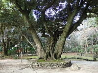 日記の画像