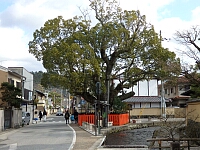 日記の画像