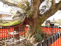 日記の画像