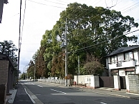 日記の画像