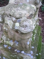 日記の画像