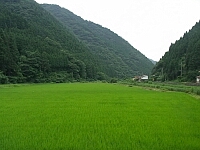 日記の画像