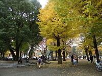 日記の画像