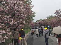 日記の画像