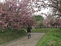 日記の画像