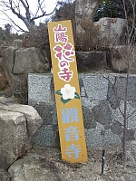 日記の画像