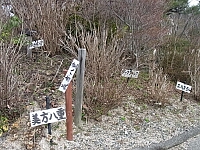 日記の画像