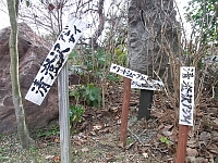 日記の画像