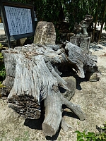 日記の画像