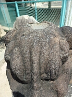 日記の画像