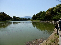 日記の画像