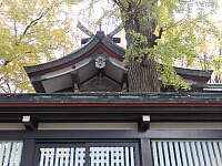 日記の画像